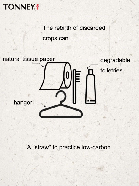 未标题-1 副本.jpg
